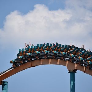 Meet your Posher, Benjamin